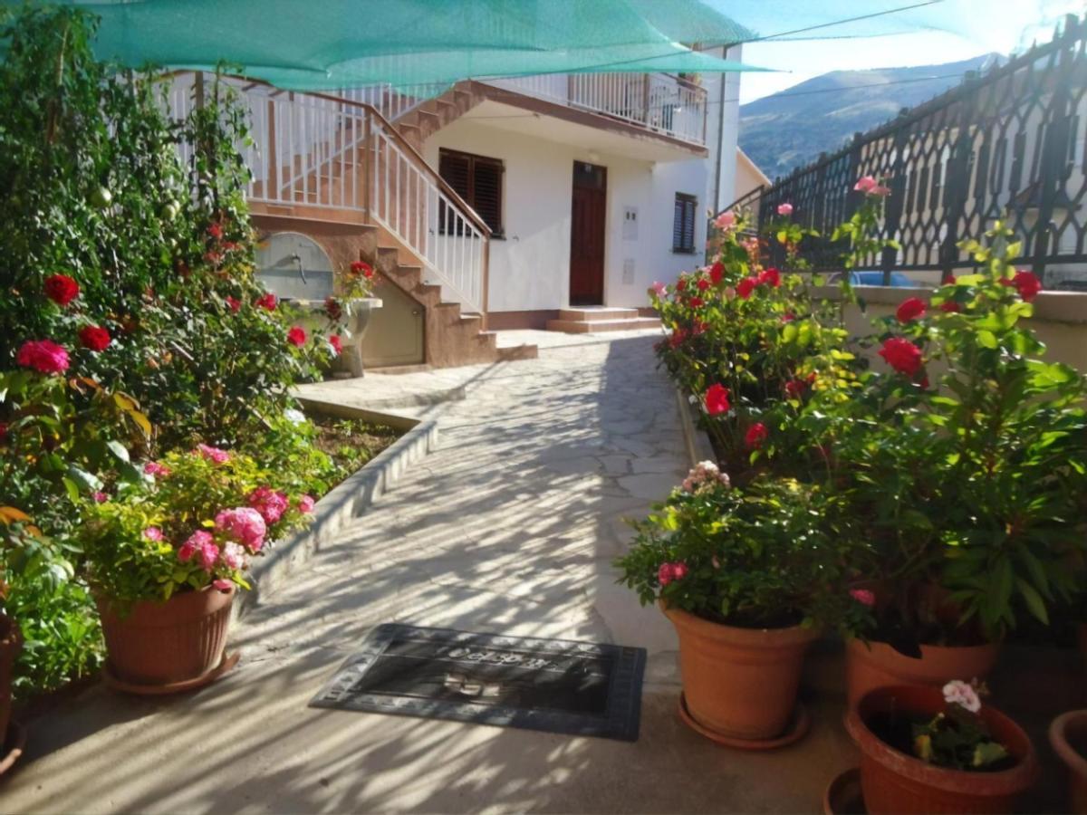 Cheap House Near The Center Of The City Mostar Exteriör bild